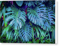 Haiku Monstera - Canvas Print