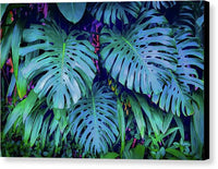 Haiku Monstera - Canvas Print