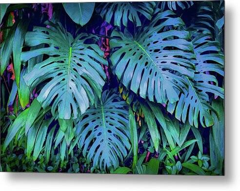 Haiku Monstera - Metal Print