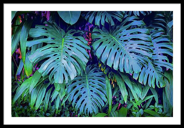 Haiku Monstera - Framed Print