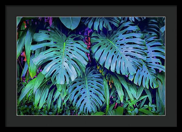 Haiku Monstera - Framed Print