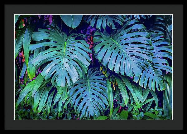 Haiku Monstera - Framed Print