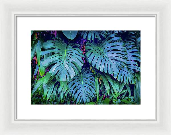 Haiku Monstera - Framed Print