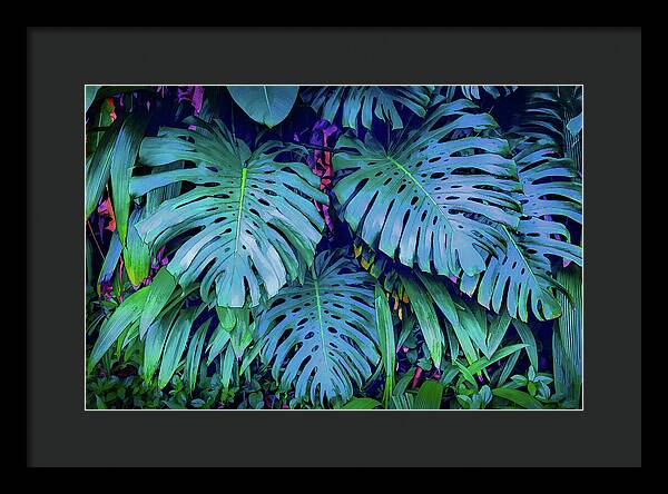 Haiku Monstera - Framed Print