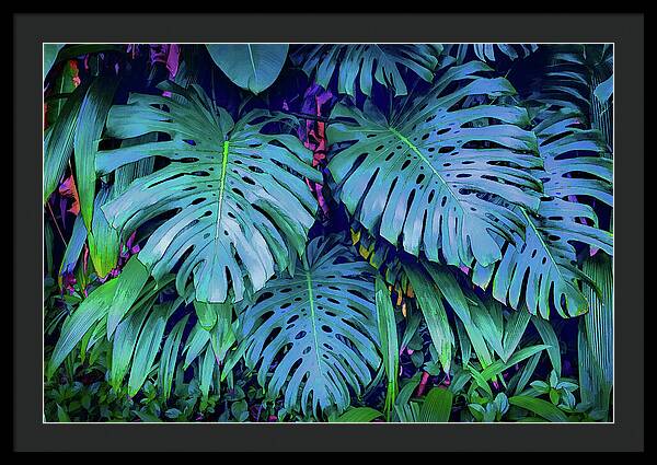 Haiku Monstera - Framed Print