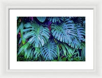 Haiku Monstera - Framed Print