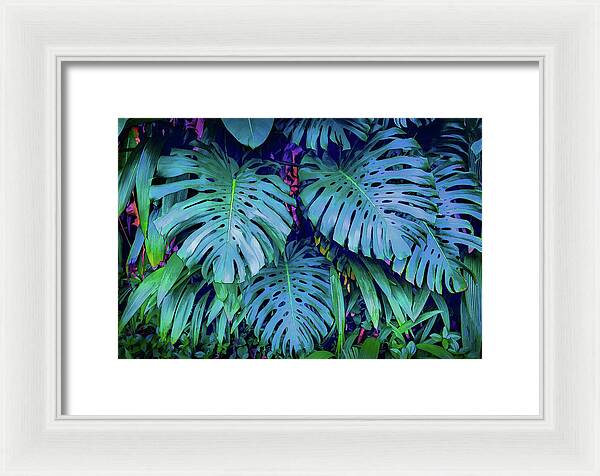 Haiku Monstera - Framed Print