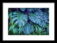 Haiku Monstera - Framed Print