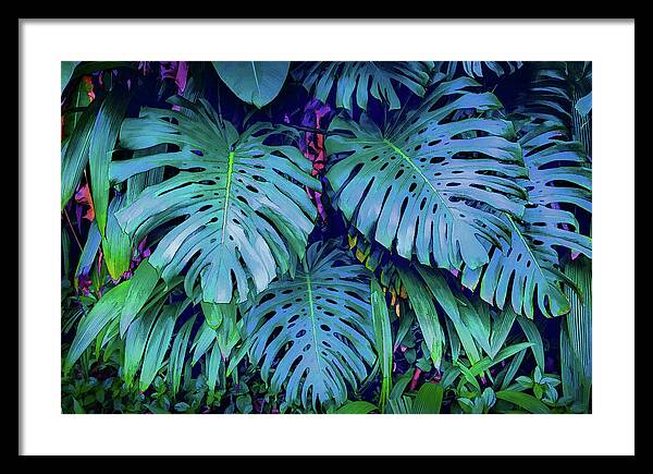 Haiku Monstera - Framed Print