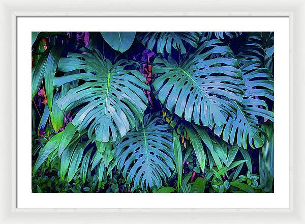 Haiku Monstera - Framed Print