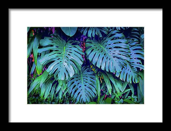 Haiku Monstera - Framed Print