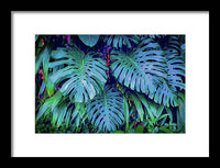 Haiku Monstera - Framed Print