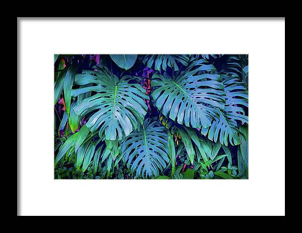 Haiku Monstera - Framed Print