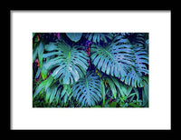 Haiku Monstera - Framed Print