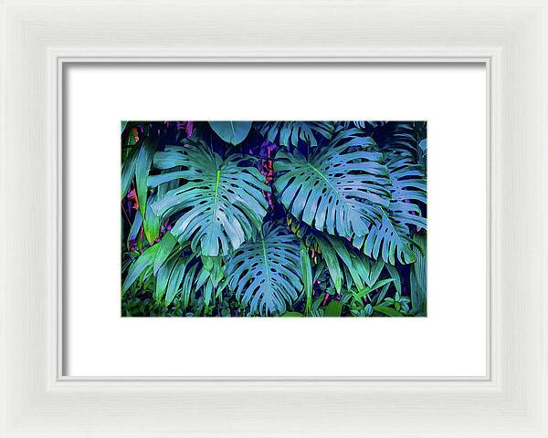 Haiku Monstera - Framed Print