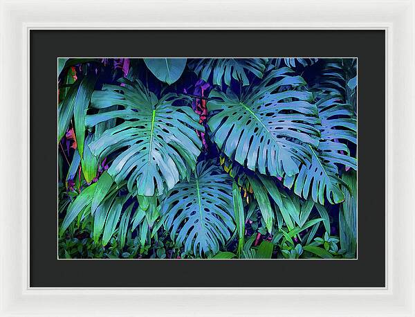 Haiku Monstera - Framed Print