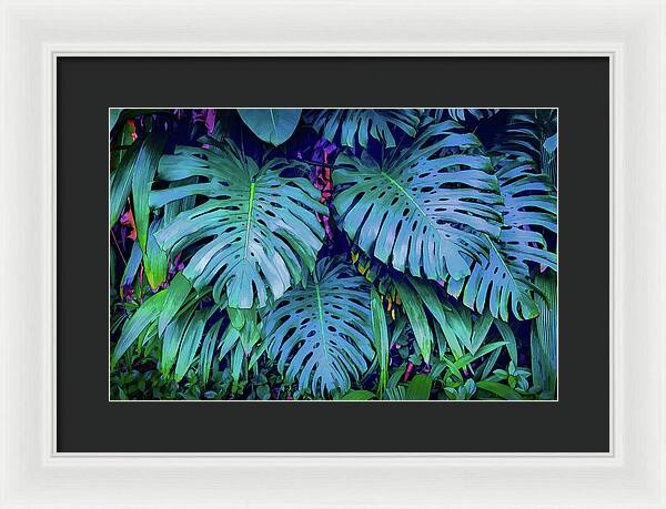 Haiku Monstera - Framed Print