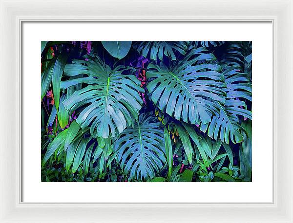 Haiku Monstera - Framed Print