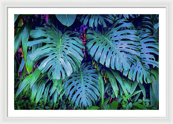 Haiku Monstera - Framed Print