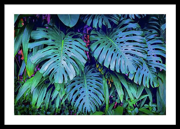 Haiku Monstera - Framed Print