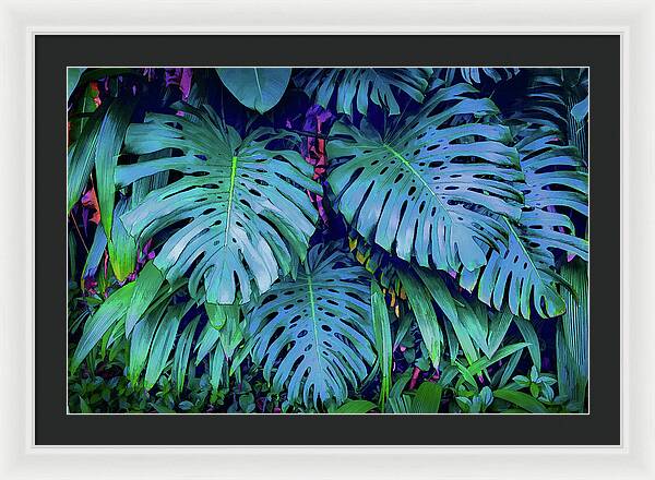 Haiku Monstera - Framed Print