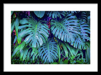 Haiku Monstera - Framed Print