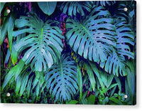 Haiku Monstera - Acrylic Print