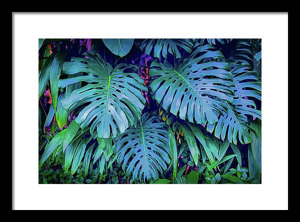 Haiku Monstera - Framed Print