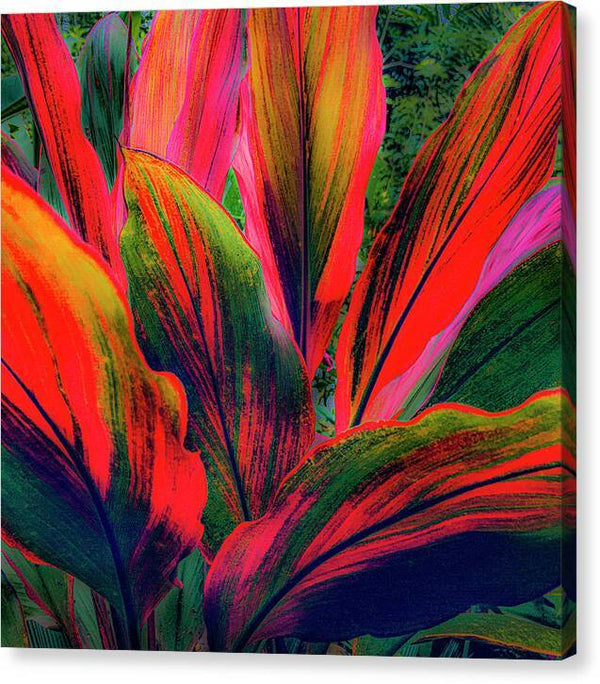 Haiku Ti 10 Canvas Print by Douglas Page at 1ArtCollection