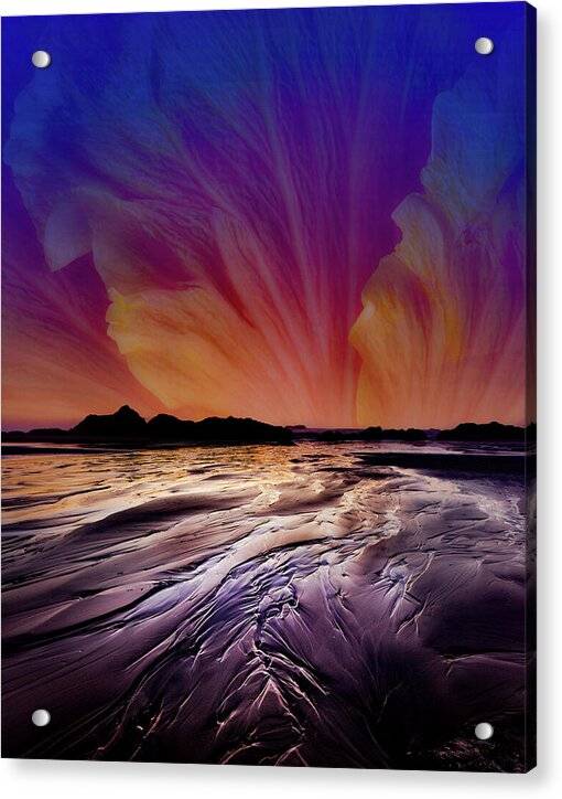 Hibiscus Beach - Acrylic Print