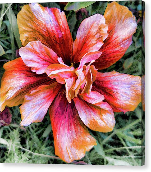 Hibiscus Flower Art - Canvas Print