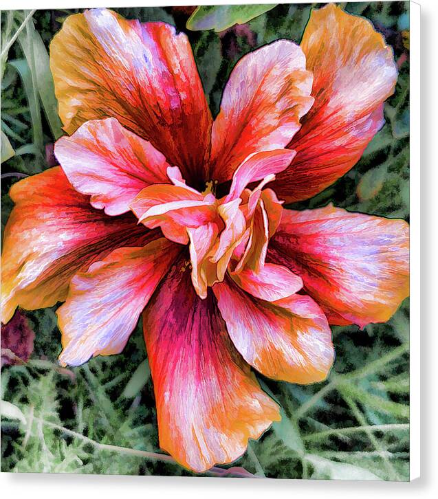 Hibiscus Flower Art - Canvas Print