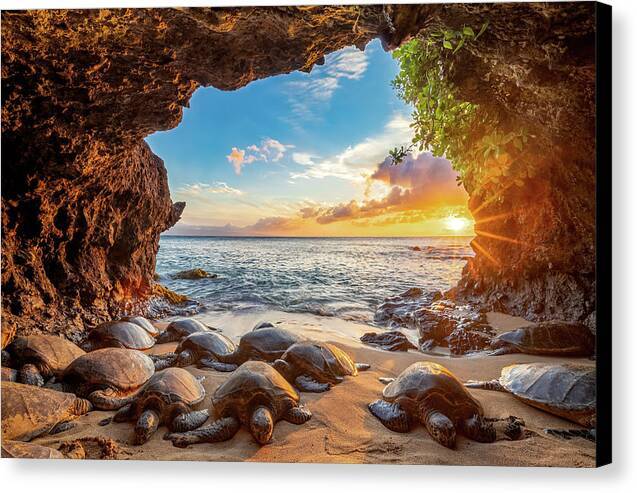 Hidden Oasis - Canvas Print Canvas Print 1ArtCollection