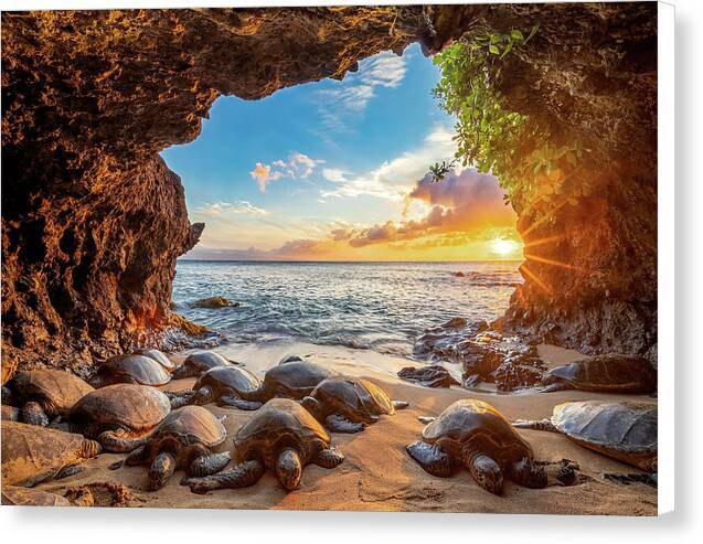 Hidden Oasis - Canvas Print Canvas Print 1ArtCollection