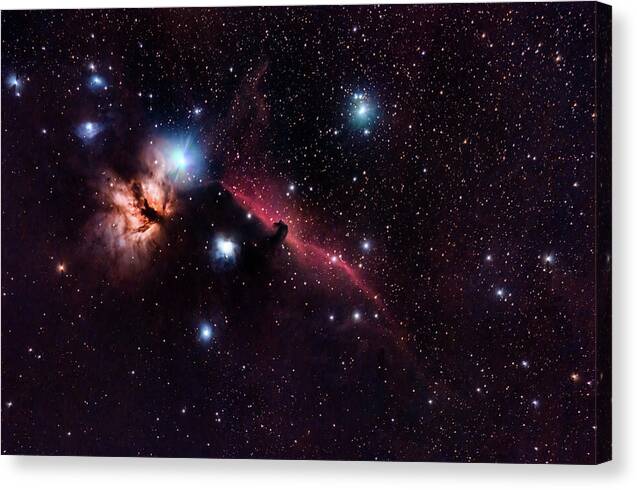 Horse Head Nebula - Canvas Print