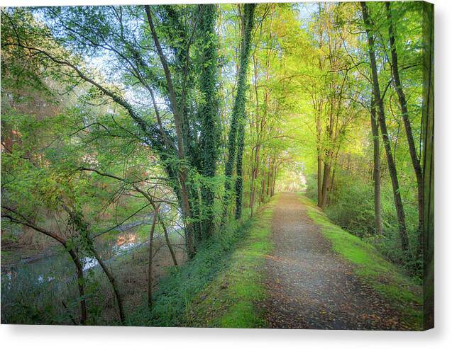 Lago Maggiore Lane - Canvas Print