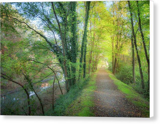 Lago Maggiore Lane - Canvas Print