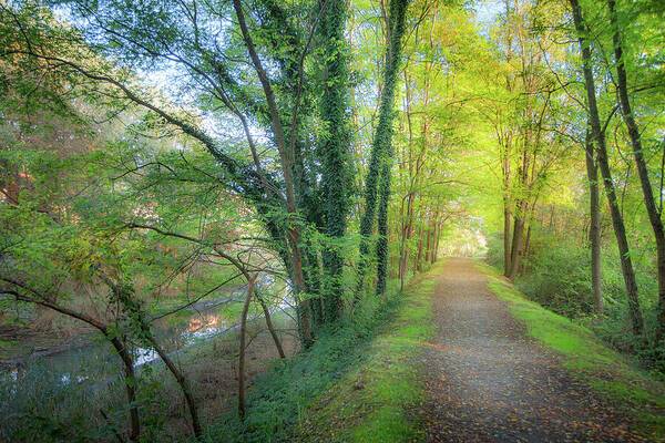 Lago Maggiore Lane - Art Print