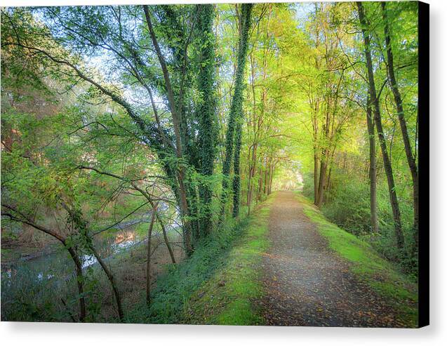 Lago Maggiore Lane - Acrylic Print