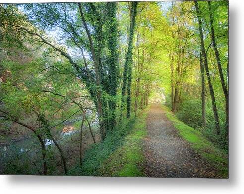 Lago Maggiore Lane - Metal Print