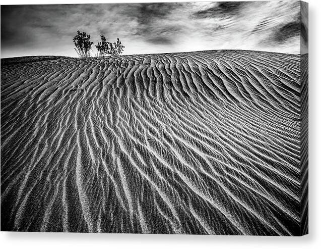 Lines in the Sand - Canvas Print