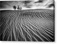 Lines in the Sand - Canvas Print