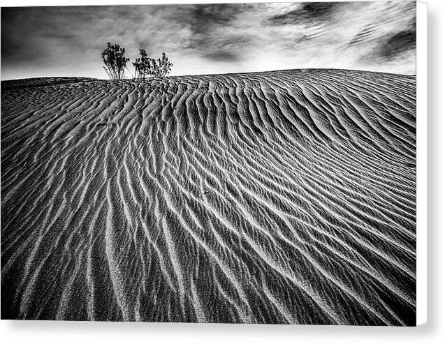 Lines in the Sand - Canvas Print