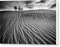 Lines in the Sand - Canvas Print