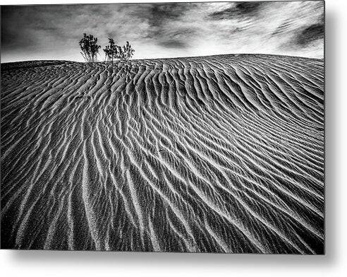 Lines in the Sand - Metal Print