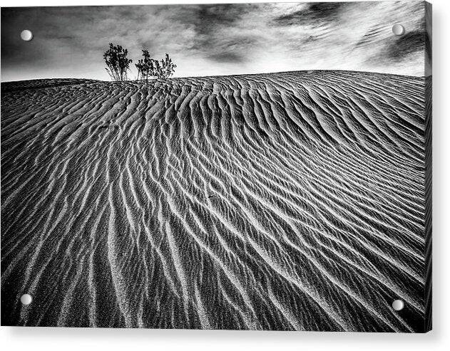 Lines in the Sand - Acrylic Print