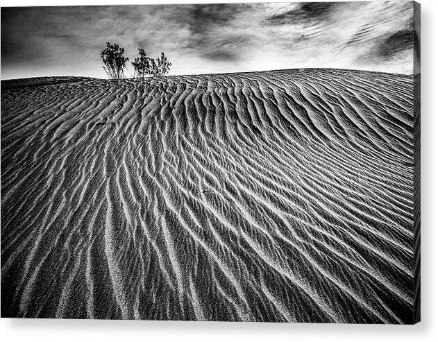 Lines in the Sand - Acrylic Print