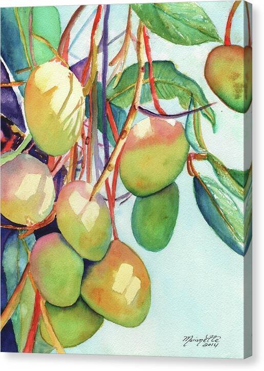 Mangos - Canvas Print Canvas Print 1ArtCollection