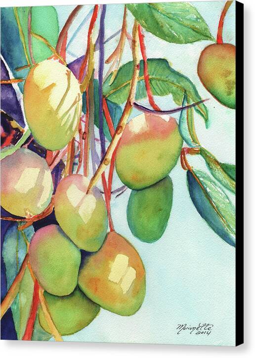 Mangos - Canvas Print Canvas Print 1ArtCollection