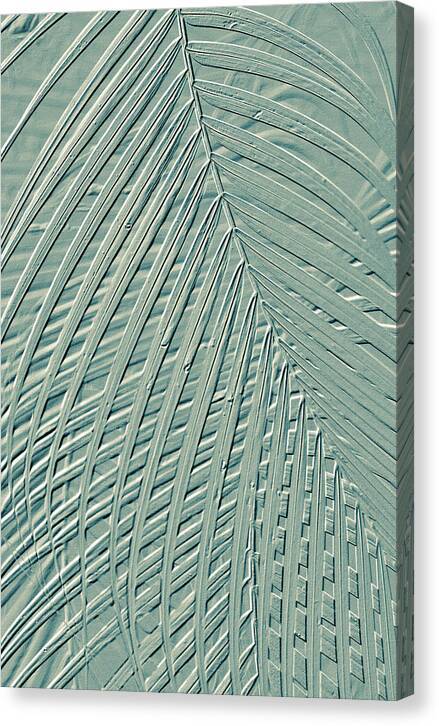 Metallic Palm Design - Canvas Print Canvas Print 1ArtCollection